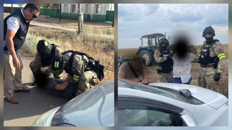 Серийные скотокрады пойманы в ЗКО