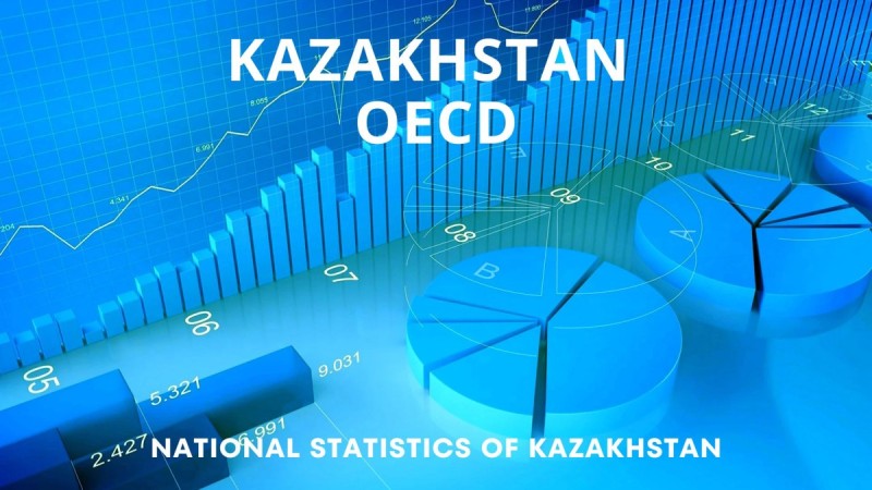 ОЭСР подтвердил высокое качество статистической системы Казахстана
