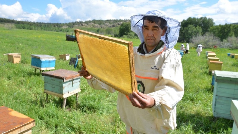 Мёд ВКО вышел на рынок ЕС: продукция одобрена Еврокомиссией