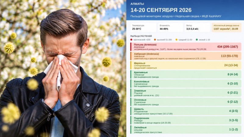 Аллергикам стоит быть осторожнее: пыльца полыни побила рекорд в Алматы