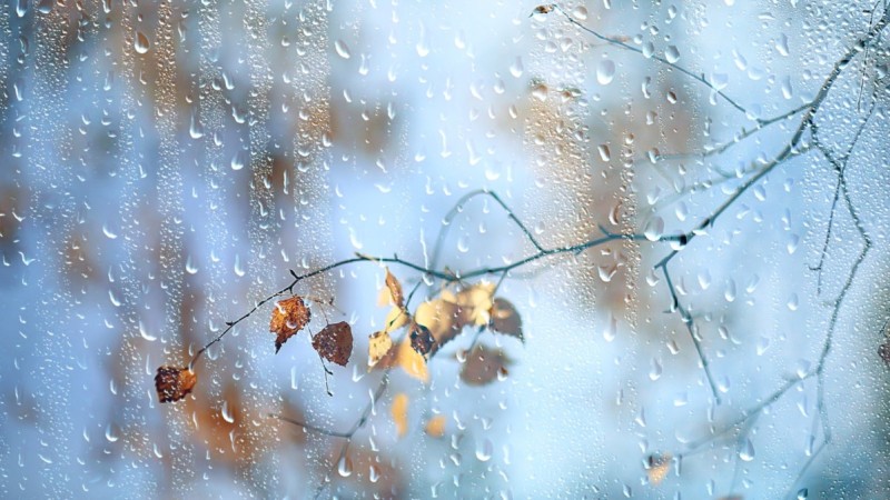 Дождь, снег и потепление до +22°C: прогноз погоды в Казахстане на 30 октября