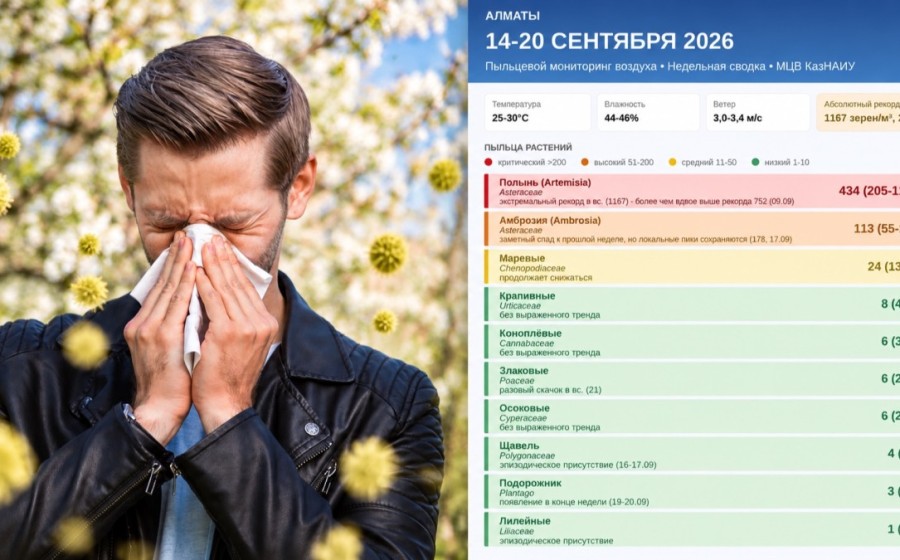 Аллергикам стоит быть осторожнее: пыльца полыни побила рекорд в Алматы