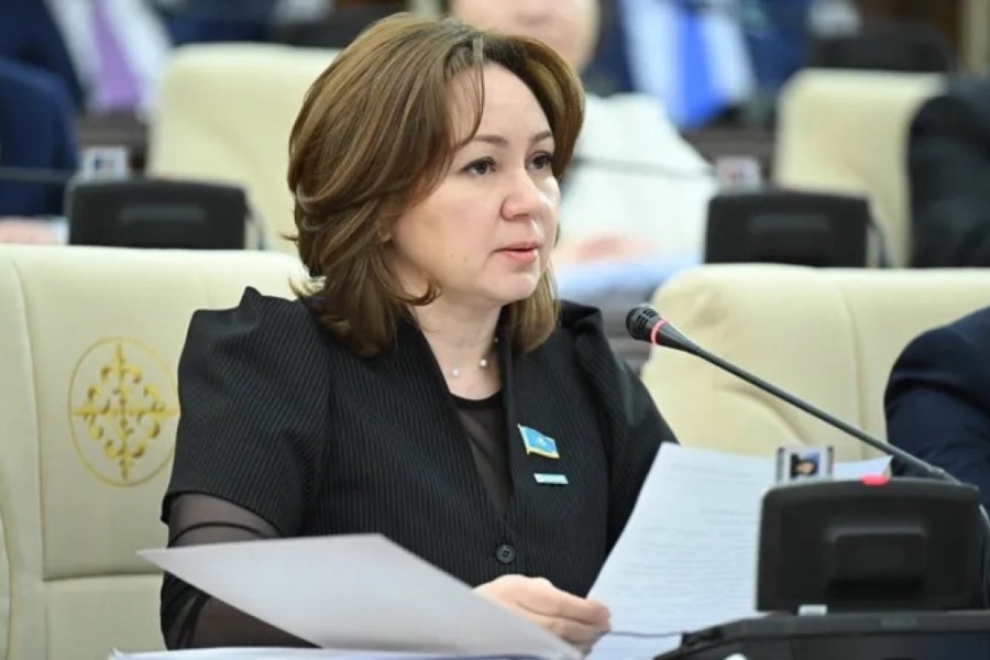 Новая Конституция определяет направление развития государства на десятилетия вперед – Снежана Имашева
